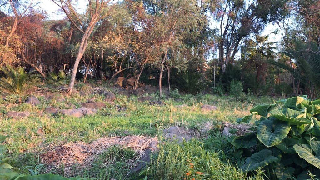 Terreno en San Lorenzo, El Salto, foto 4 de 6