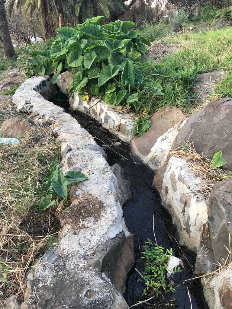 Terreno en San Lorenzo, El Salto, foto 5 de 6