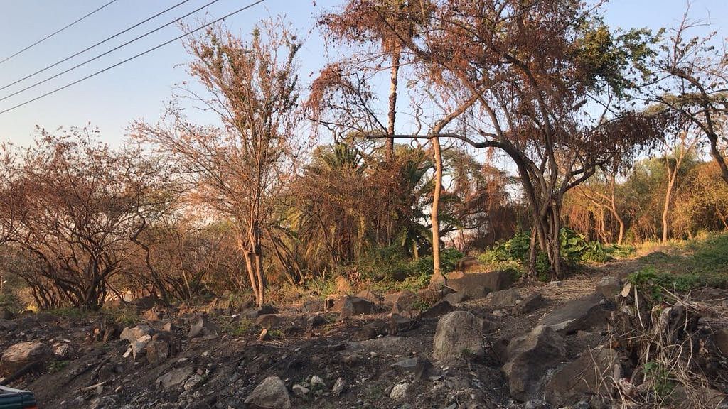 Terreno en San Lorenzo, El Salto, foto 6 de 6