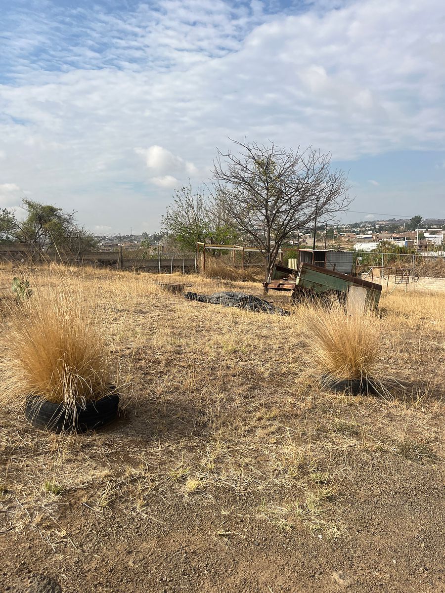 Industrial Lot in Coyula, Tonalá, photo 15 of 38