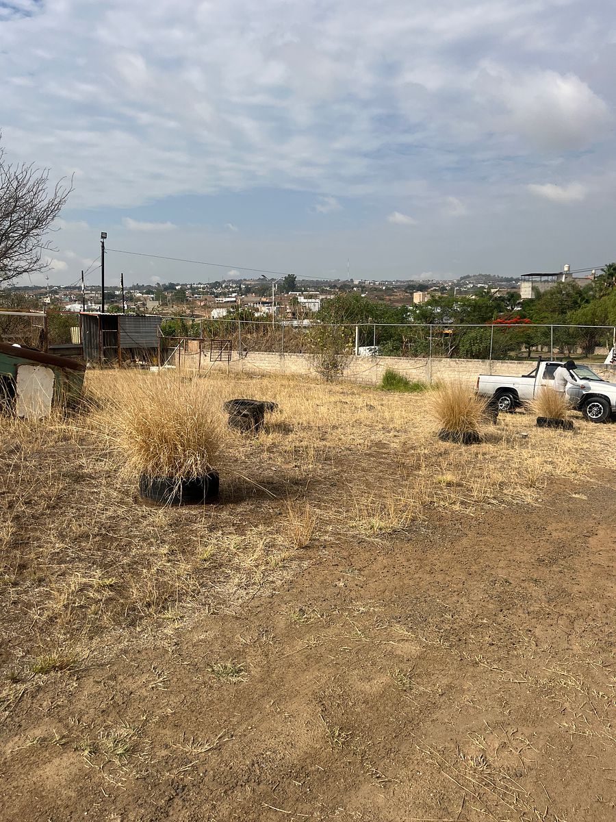 Industrial Lot in Coyula, Tonalá, photo 23 of 38