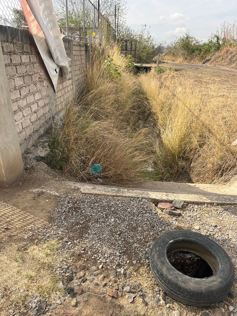 Industrial Lot in Coyula, Tonalá, photo 26 of 38