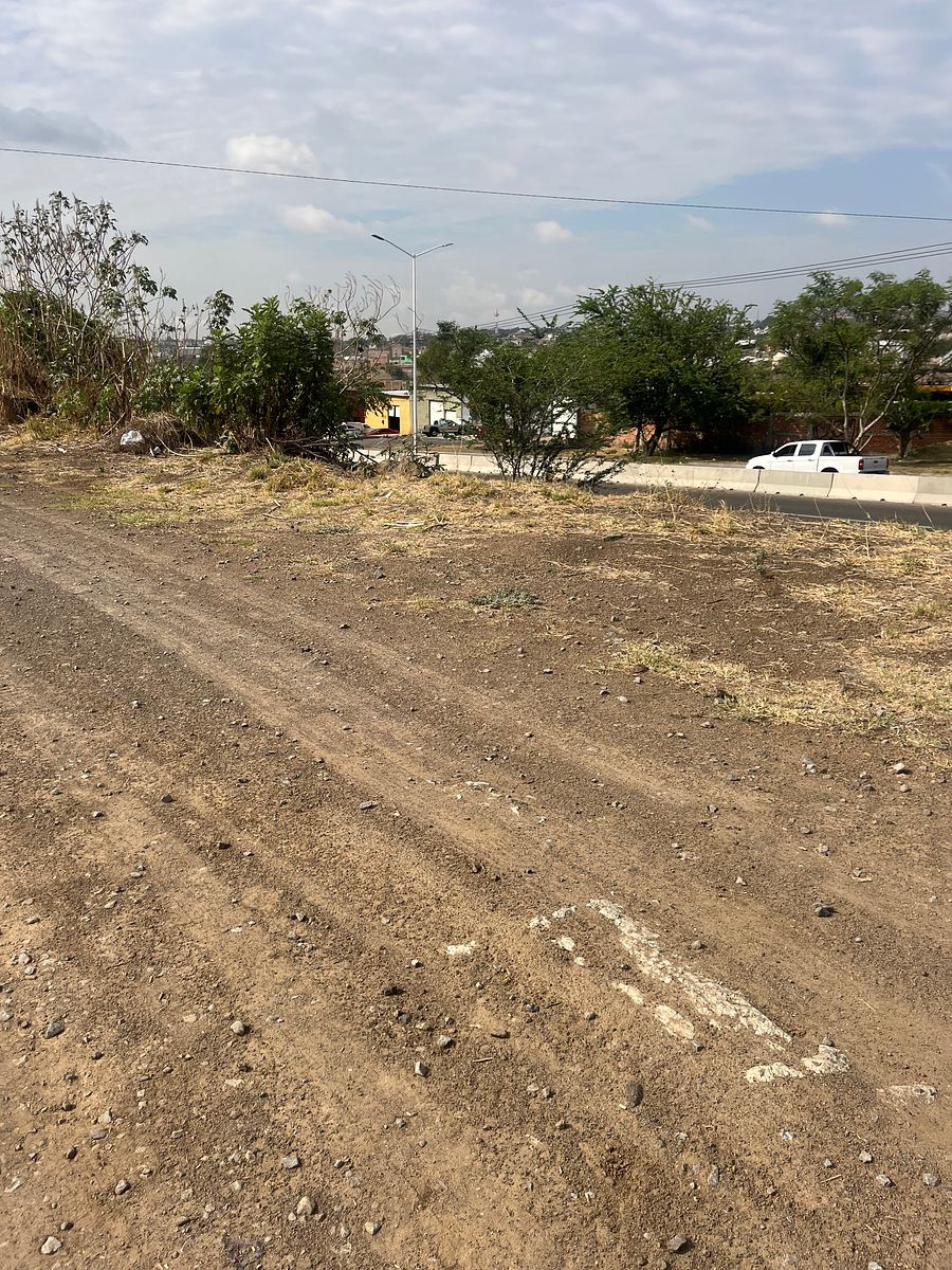 Industrial Lot in Coyula, Tonalá, photo 30 of 38