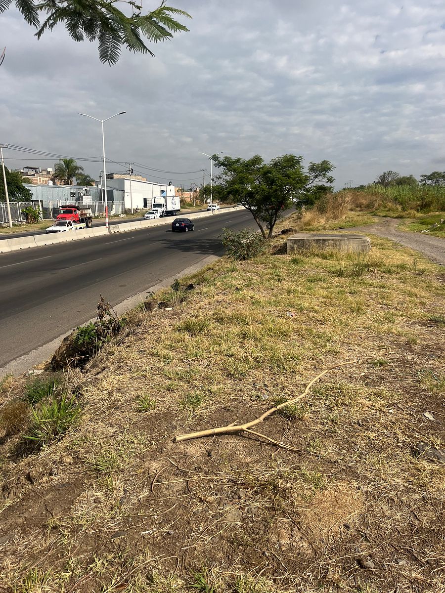 Industrial Lot in Coyula, Tonalá, photo 33 of 38