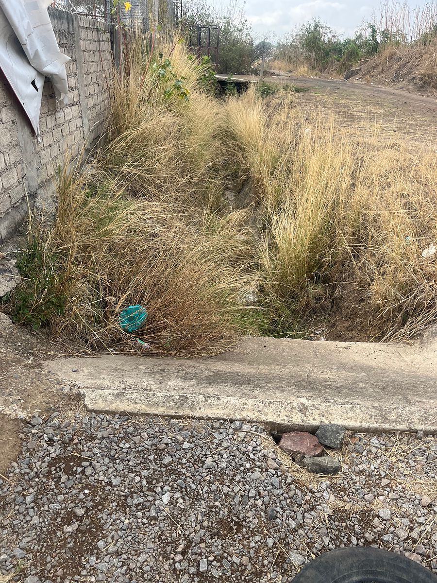 Industrial Lot in Coyula, Tonalá, photo 35 of 38