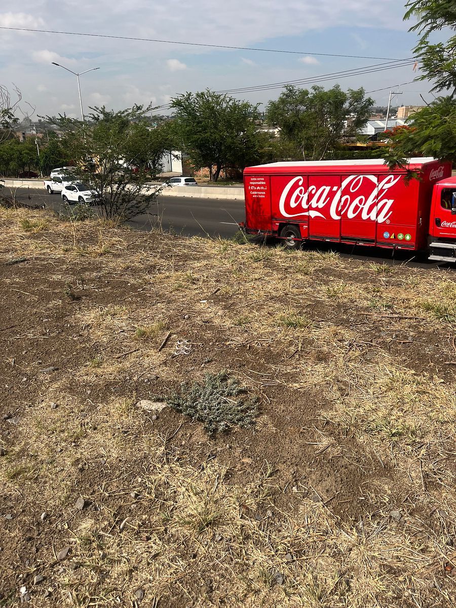 Commercial Lot in Coyula, Tonalá, photo 31 of 38