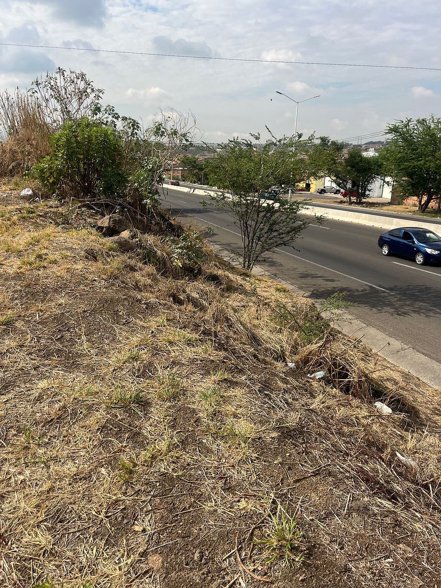 Commercial Lot in Coyula, Tonalá, photo 32 of 38