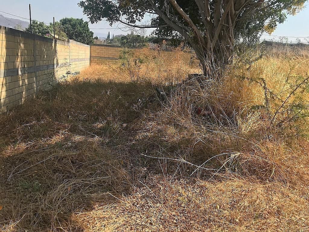 Lote em Ejidal Tezoquipa, Yautepec, foto 21 de 27