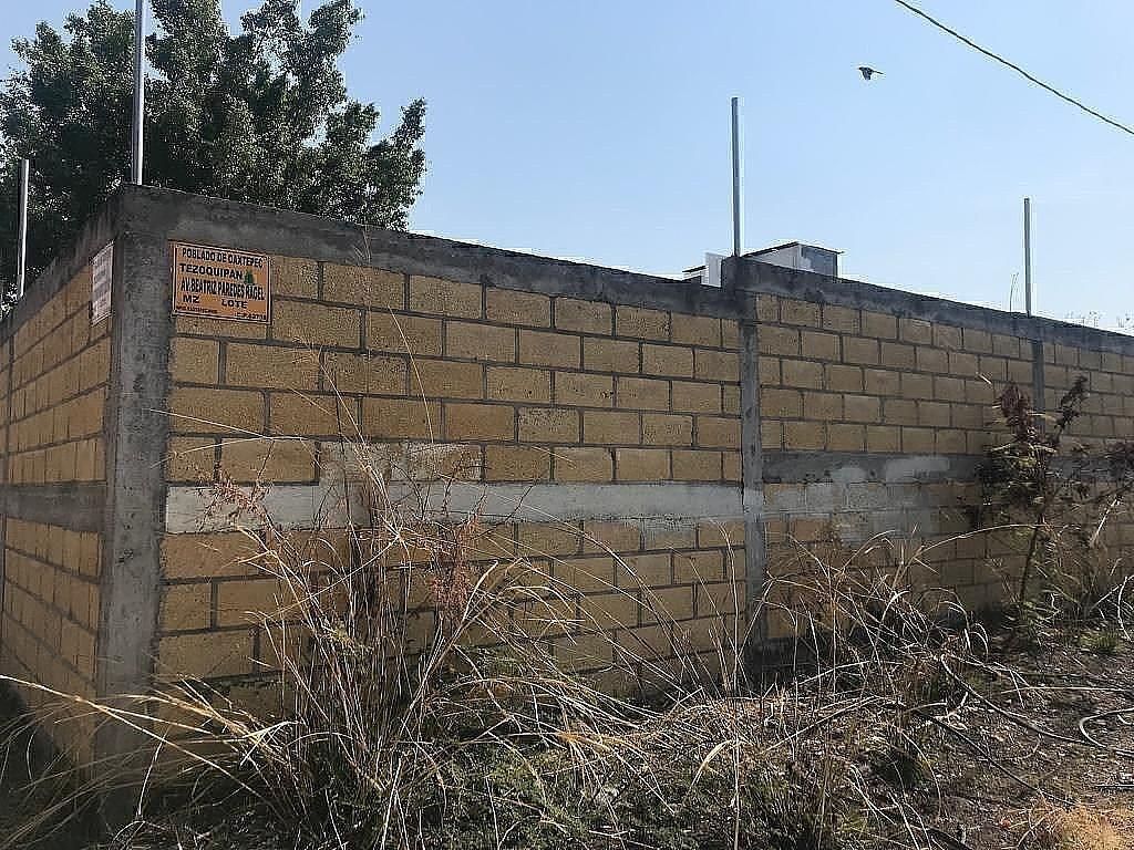Lote em Ejidal Tezoquipa, Yautepec, foto 22 de 27