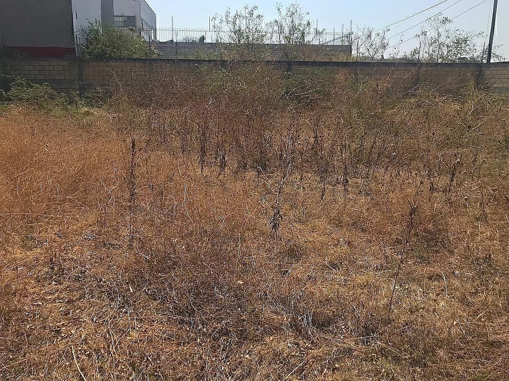 Lote em Ejidal Tezoquipa, Yautepec, foto 25 de 27