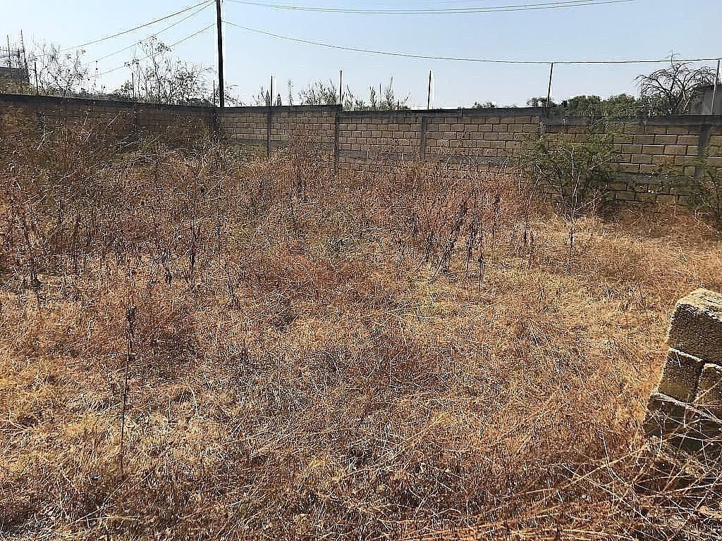 Lote em Ejidal Tezoquipa, Yautepec, foto 27 de 27