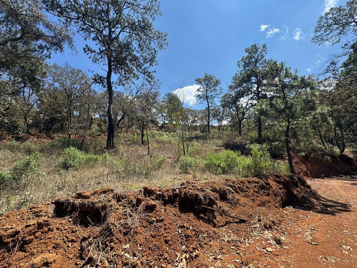 Lote em Mazamitla, Mazamitla, foto 10 de 16