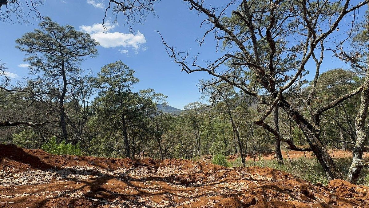 Lote em Mazamitla, Mazamitla, foto 11 de 16