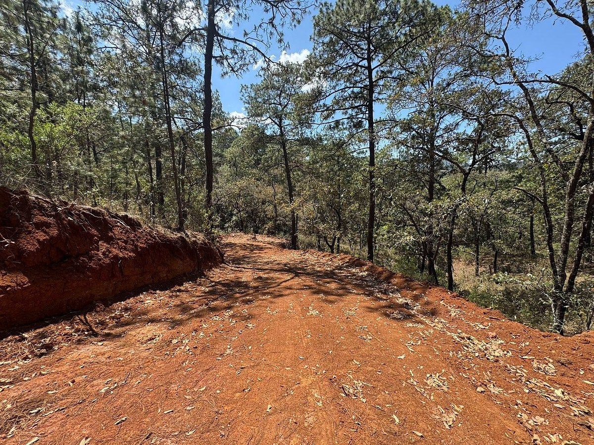 Lote em Mazamitla, Mazamitla, foto 14 de 16