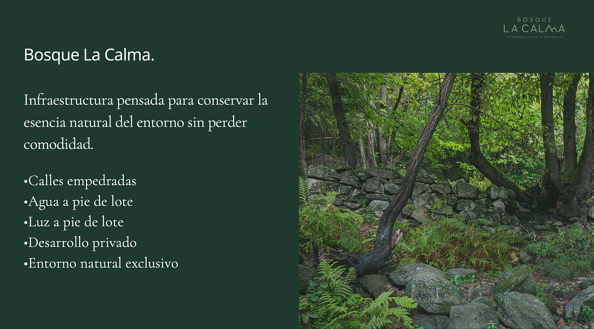 Lote em Mazamitla, Mazamitla, foto 6 de 16