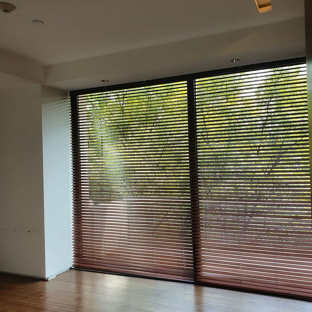 Apartment in Polanco V Sección, Miguel Hidalgo, photo 9 of 21