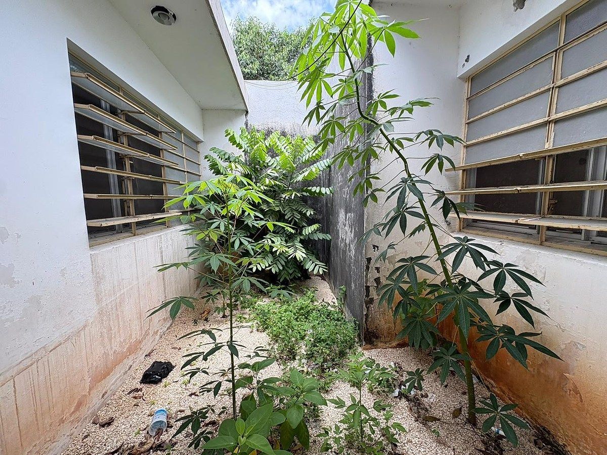 Casa en Mérida Centro, Mérida, foto 11 de 21