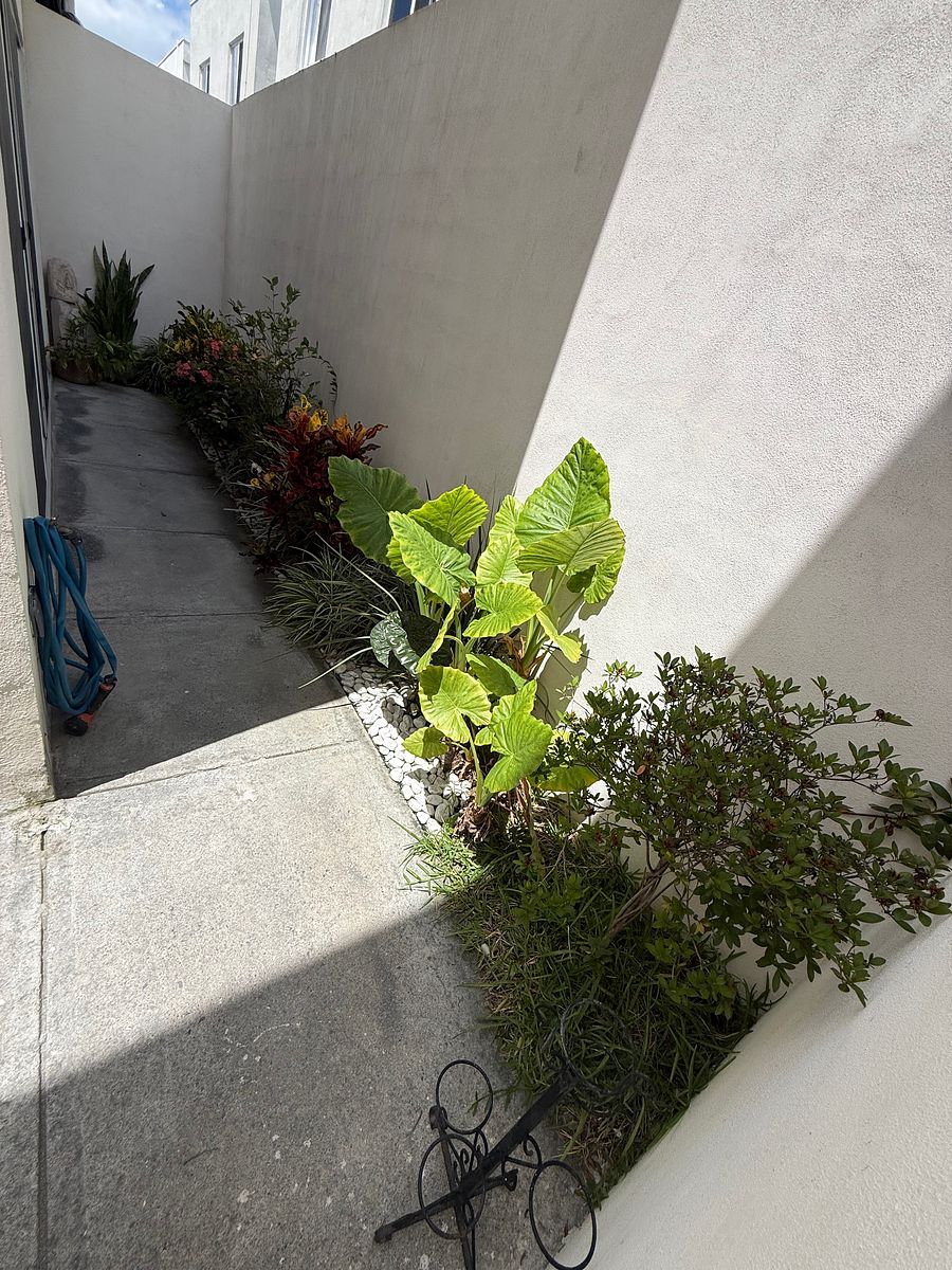 Casa em Residencial Privada las Plazas, Guadalupe, foto 8 de 39