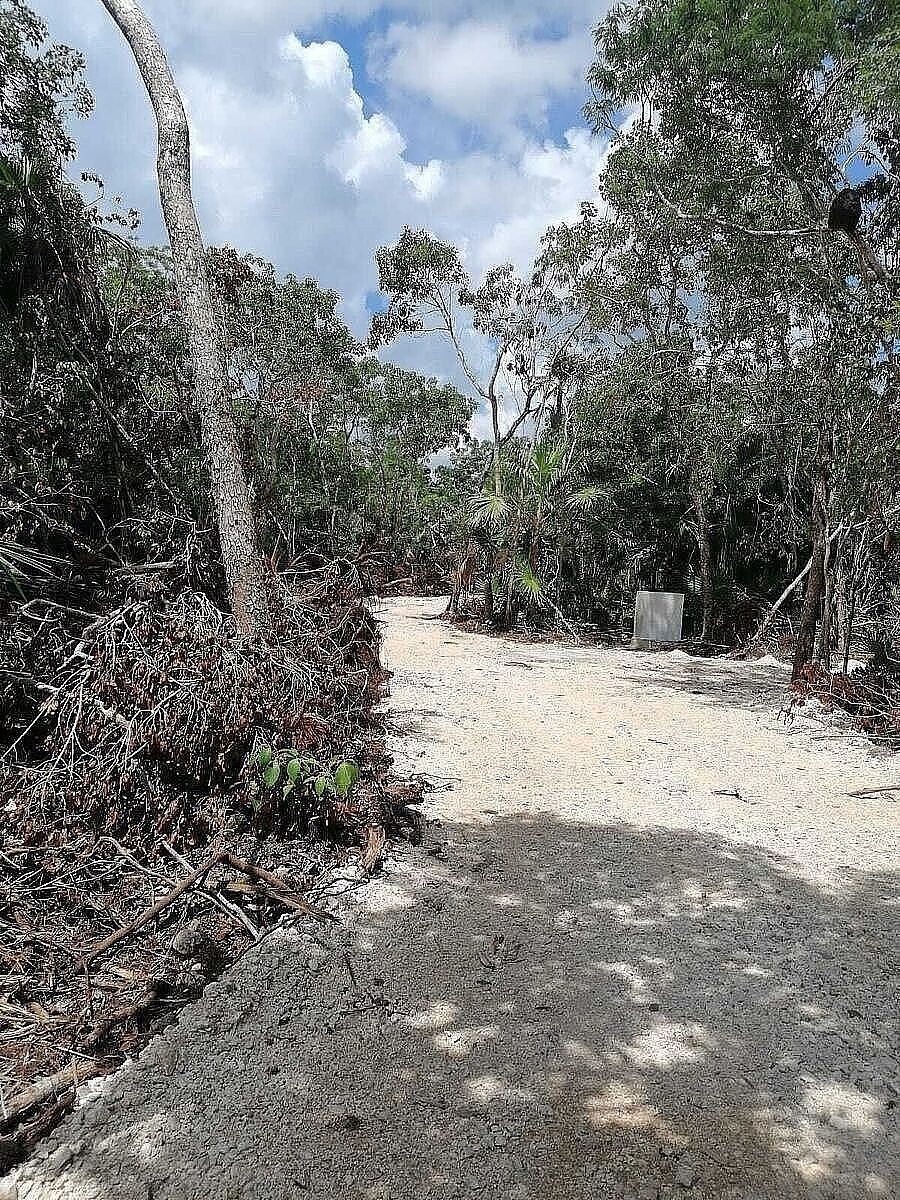 Terreno en Tulum Centro, Tulum, foto 4 de 6