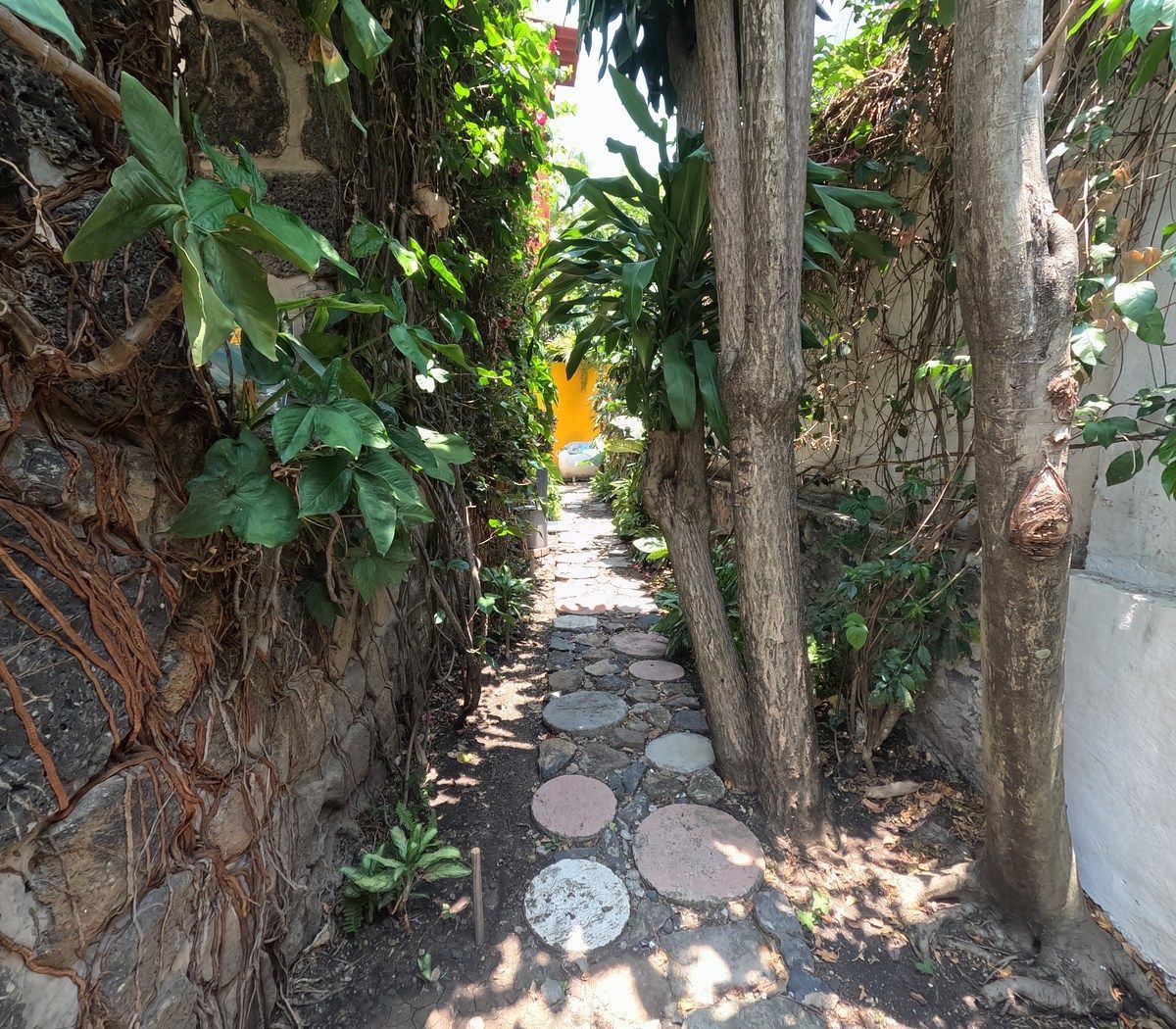 House in Burgos, Temixco, photo 32 of 37