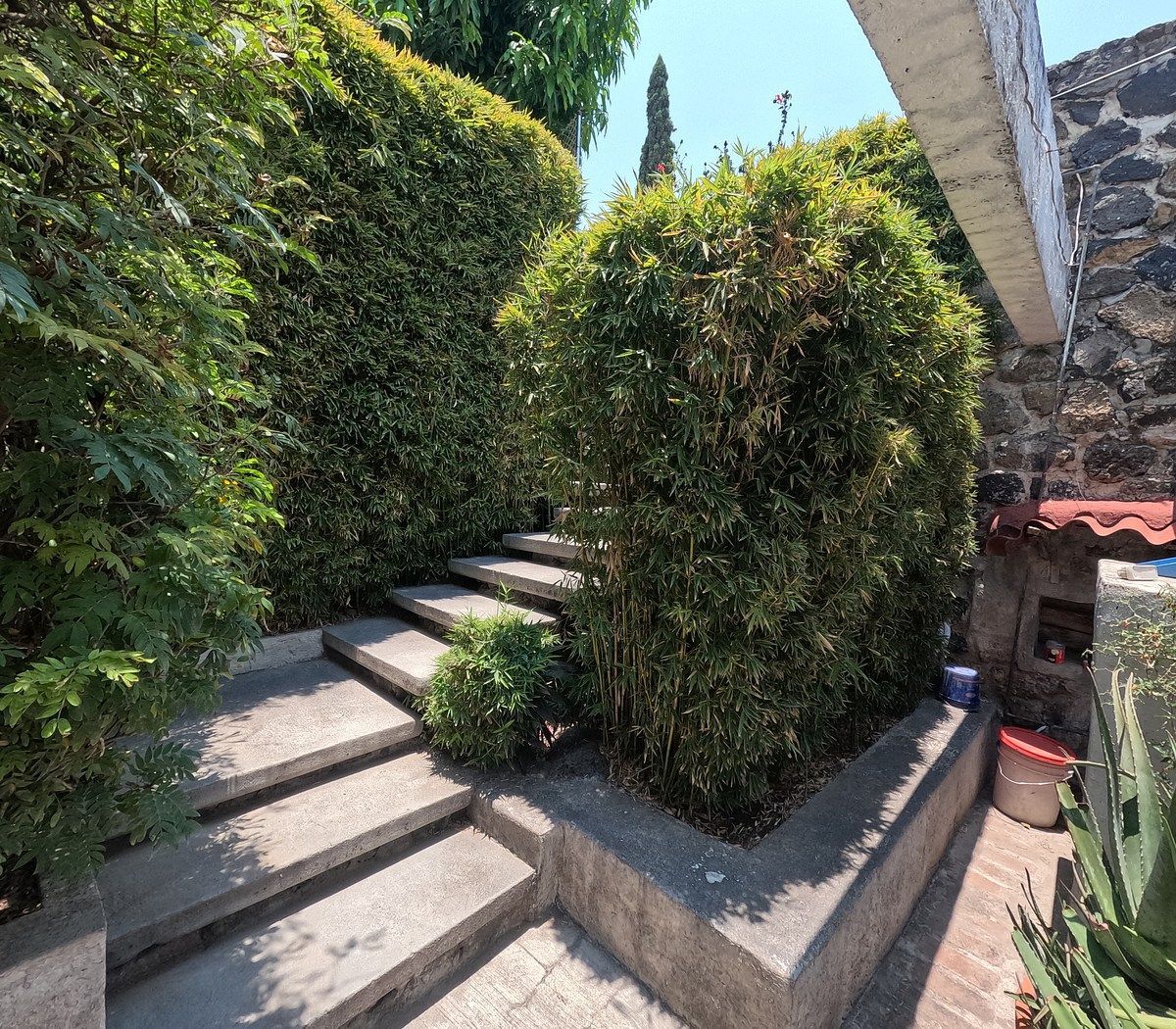 House in Burgos, Temixco, photo 35 of 37