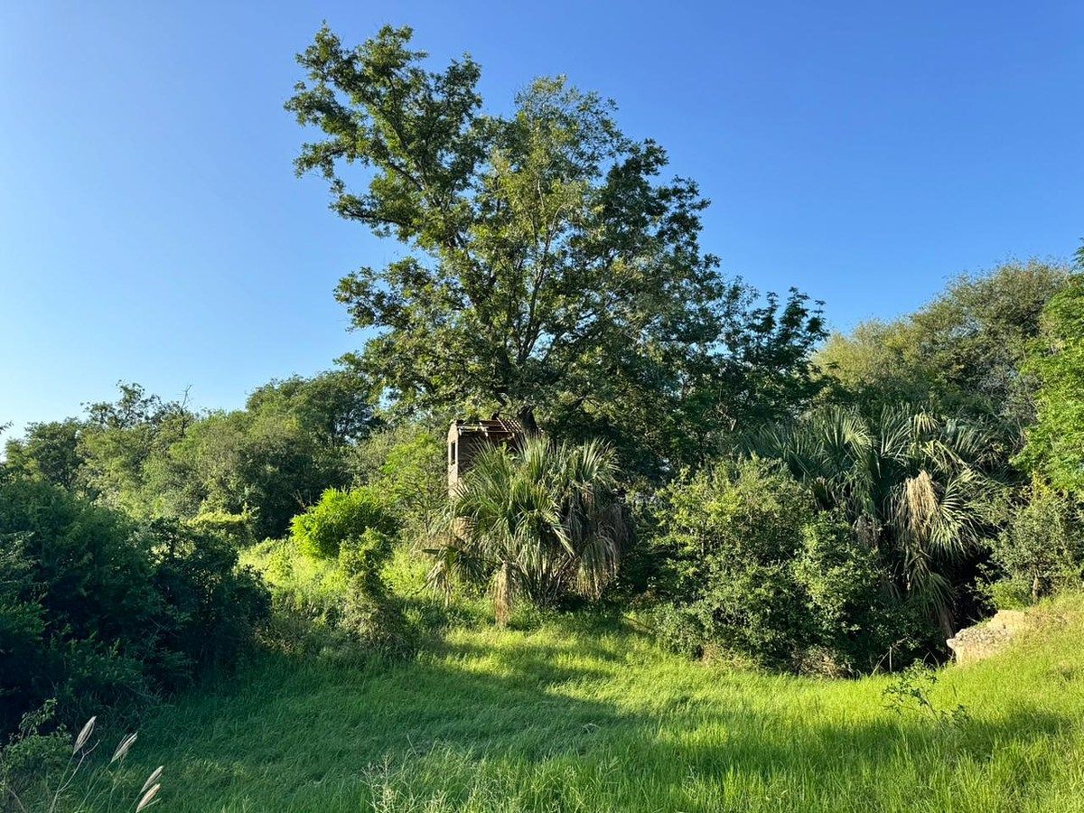 Terreno en San Miguelito, Cadereyta Jiménez, foto 7 de 11