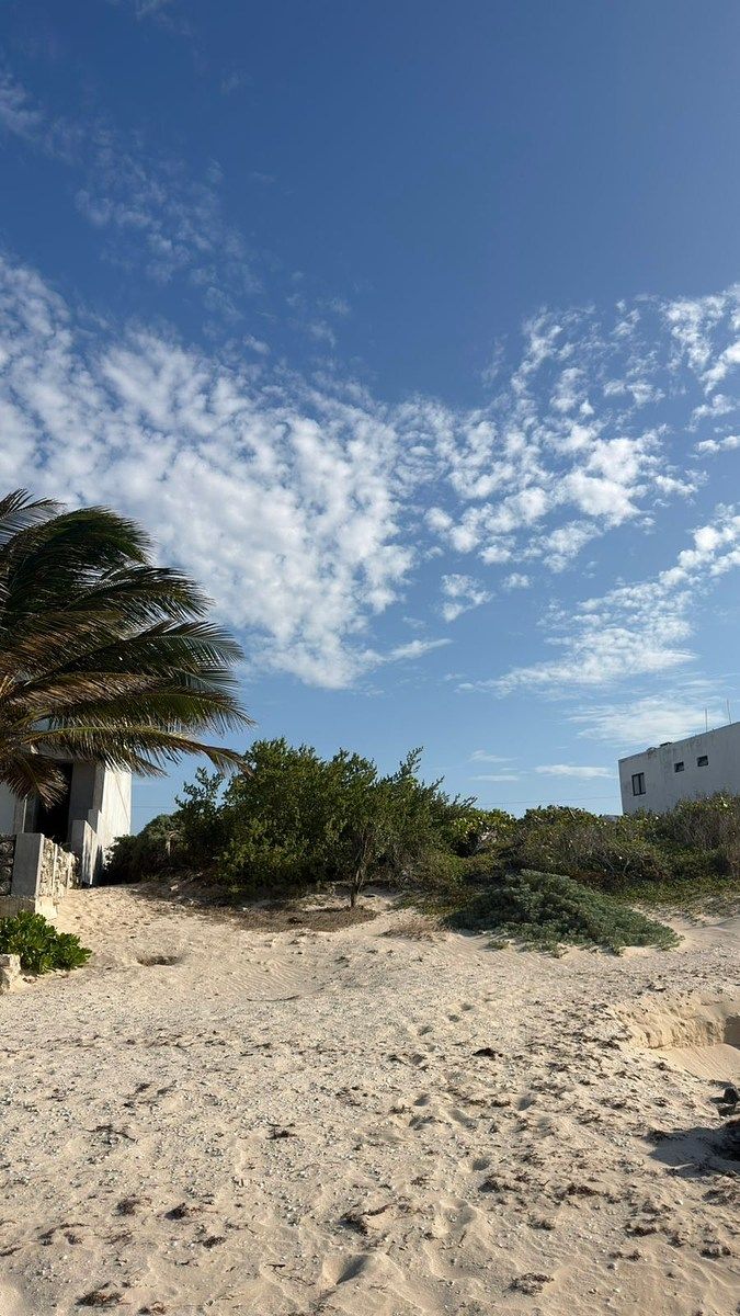 EN VENTA TERRENO FRENTE AL MAR EN CHUBURNÁ PUERTO PROGRESO YUCATÁN - foto 3