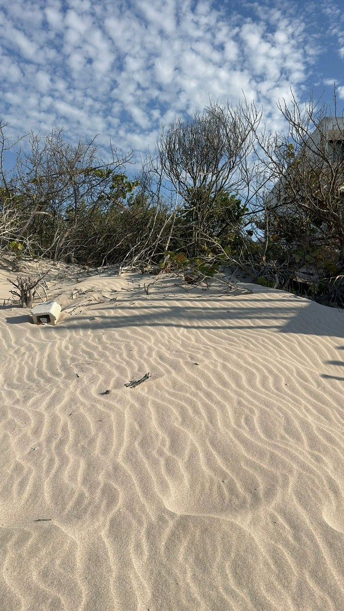 Lote em Chicxulub Puerto, Progreso, foto 9 de 10
