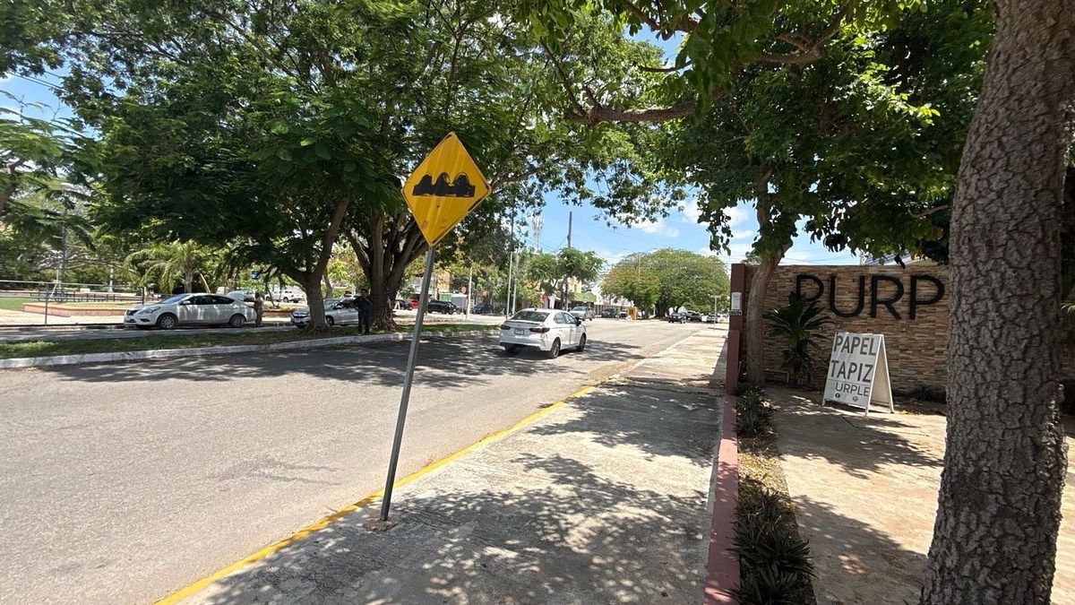Local comercial en Campestre, Mérida, foto 14 de 14
