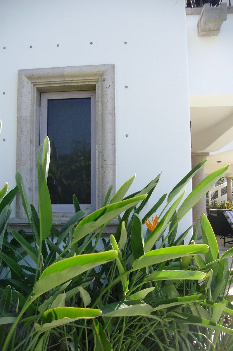 Casa en condominio en San José del Cabo Centro, Los Cabos, foto 14 de 45