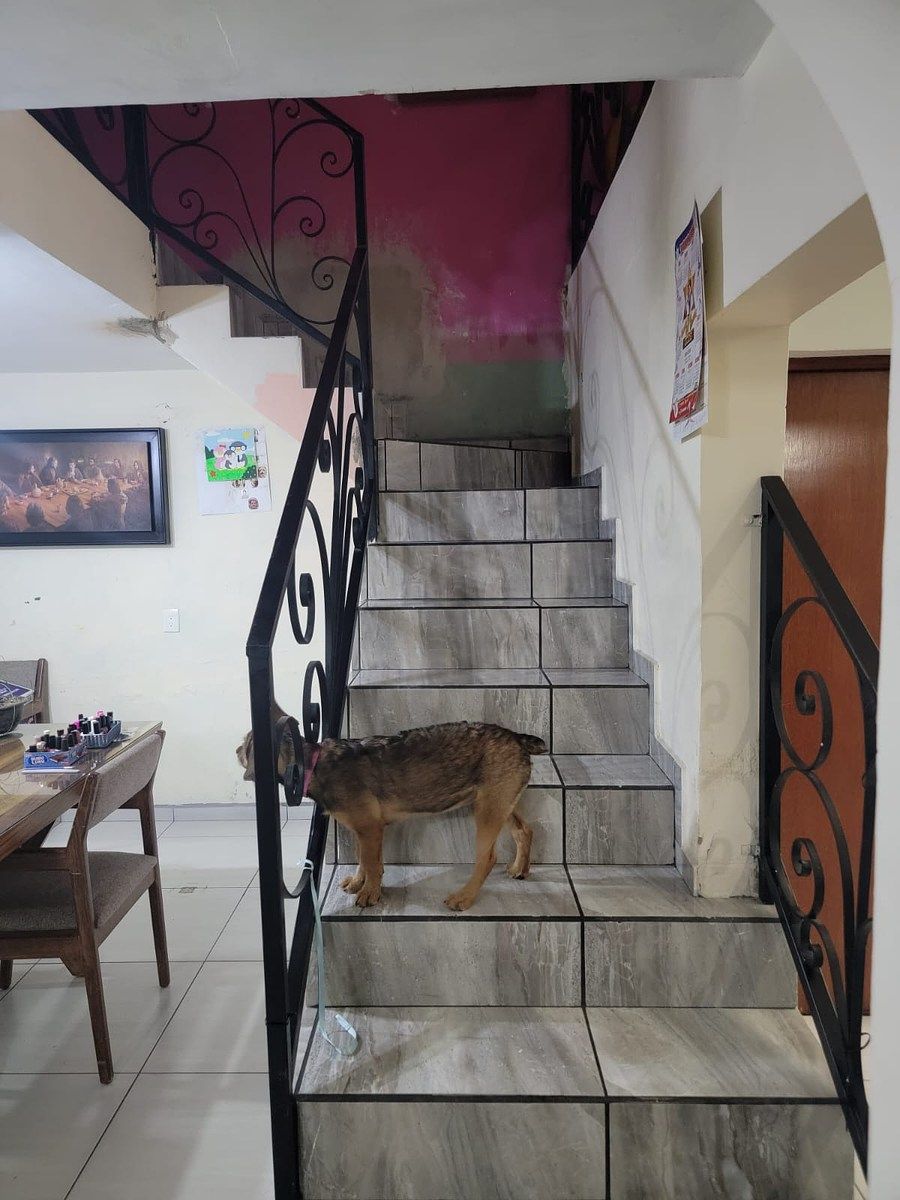 Casa em Santa Rosa, Guadalajara, foto 10 de 34