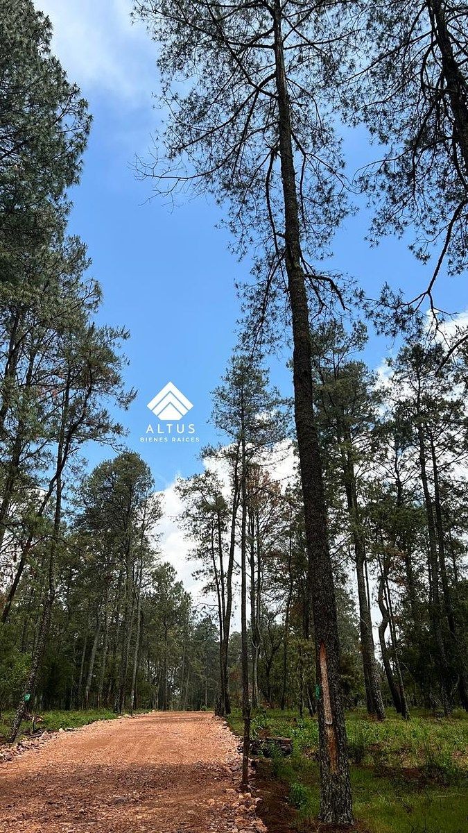 Lote em Atemajac de Brizuela, Atemajac de Brizuela, foto 3 de 19