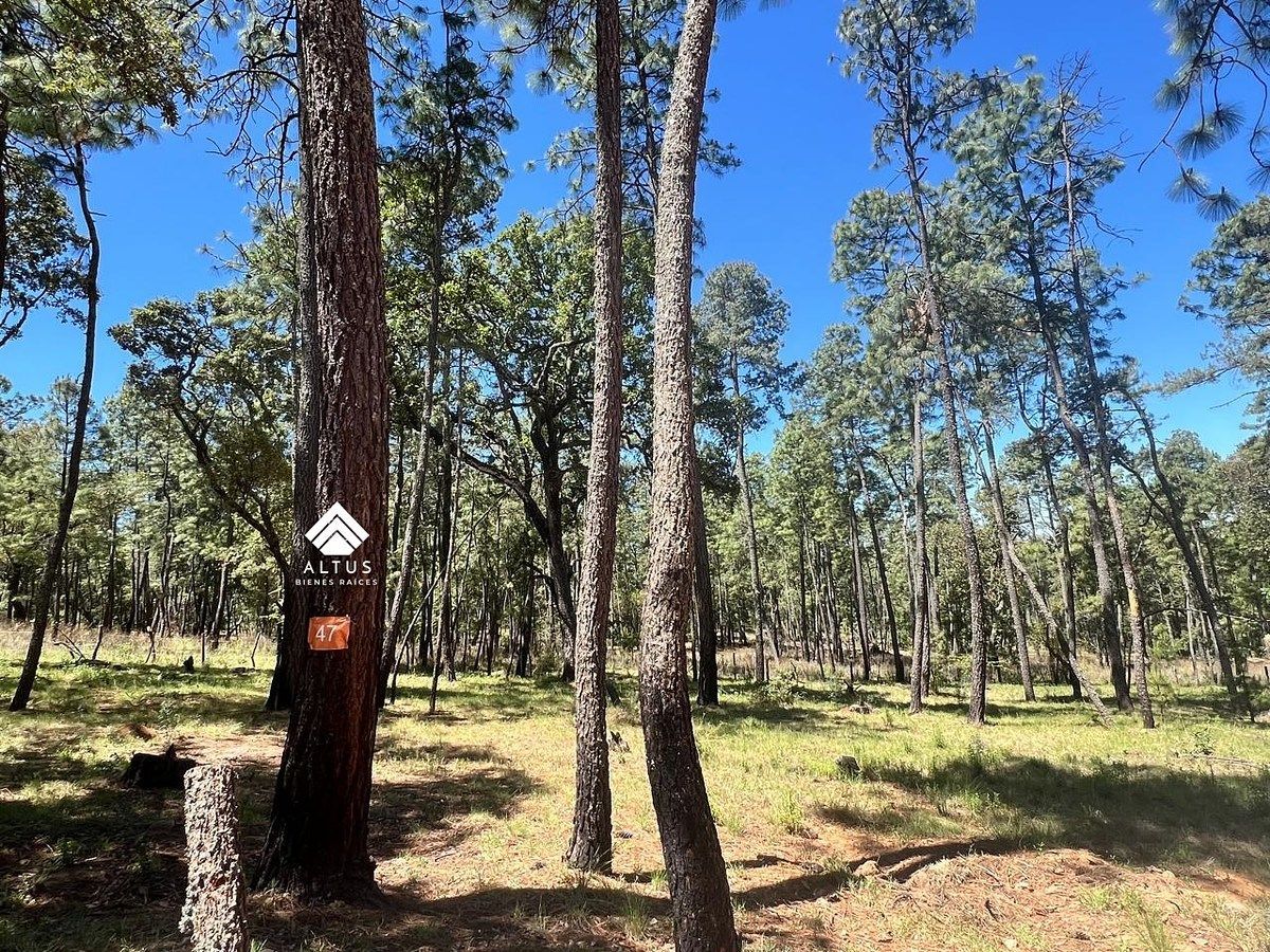 Lote em Atemajac de Brizuela, Atemajac de Brizuela, foto 5 de 19