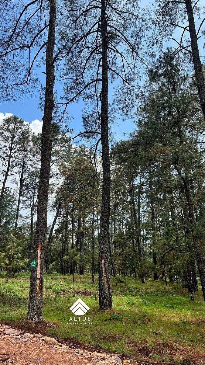 Lote em Atemajac de Brizuela, Atemajac de Brizuela, foto 8 de 19