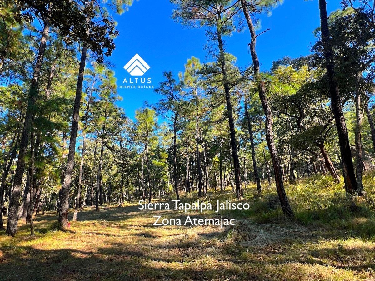 Lote em Atemajac de Brizuela, Atemajac de Brizuela, foto 10 de 19