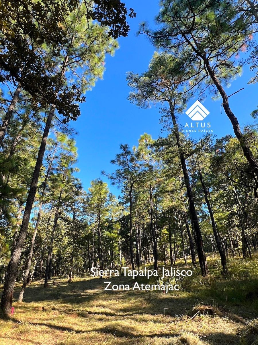 Lote em Atemajac de Brizuela, Atemajac de Brizuela, foto 15 de 19