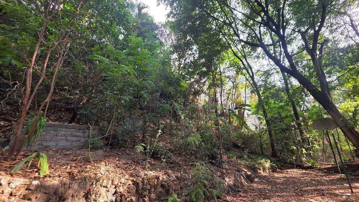 House in Lomas Del Valle, Zapopan, photo 8 of 10