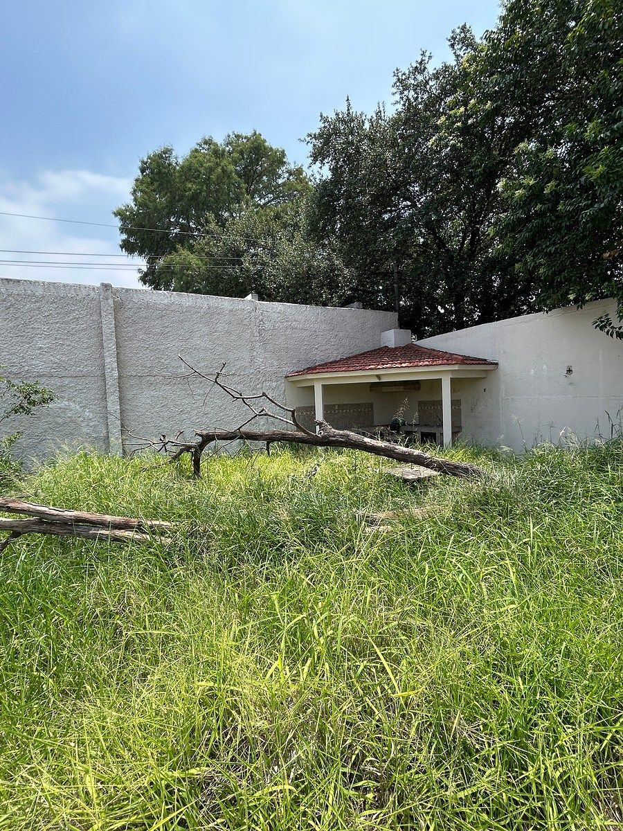 Terreno en Del Valle, San Pedro Garza García, foto 6 de 8