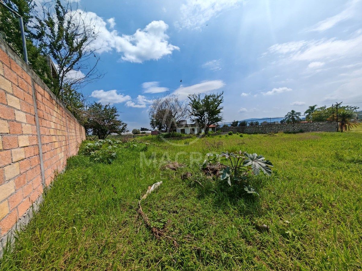 Lote em Tlayacapan Centro, Tlayacapan, foto 4 de 4
