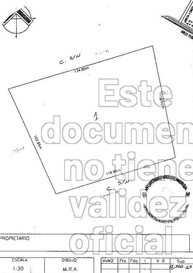 Land for Sale in Temozón, photo 1 of 2