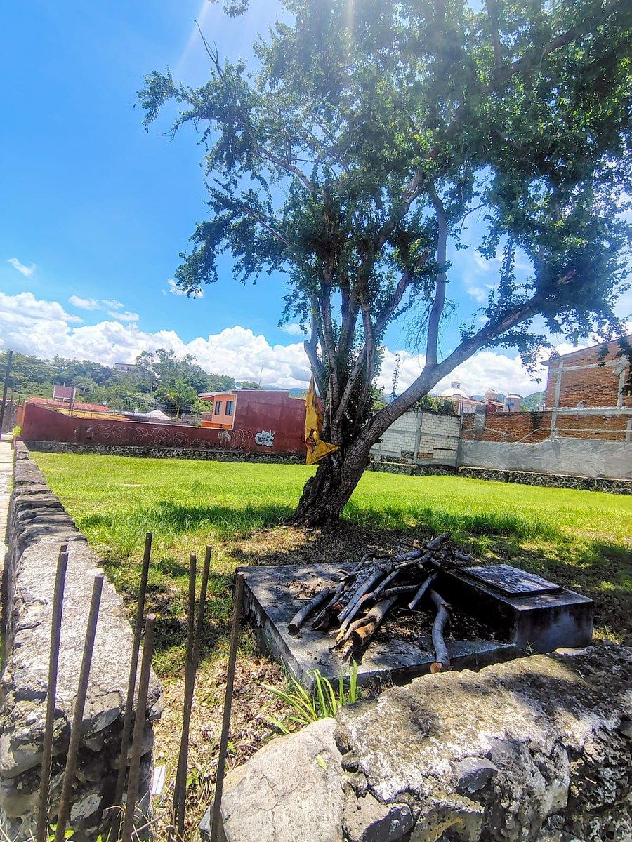 Terreno en Lázaro Cárdenas, Yautepec, foto 5 de 6