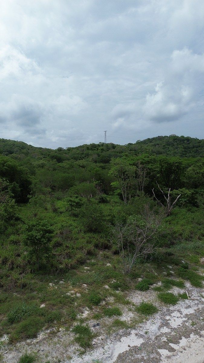 Terreno en Seybaplaya Centro, Campeche, foto 11 de 15