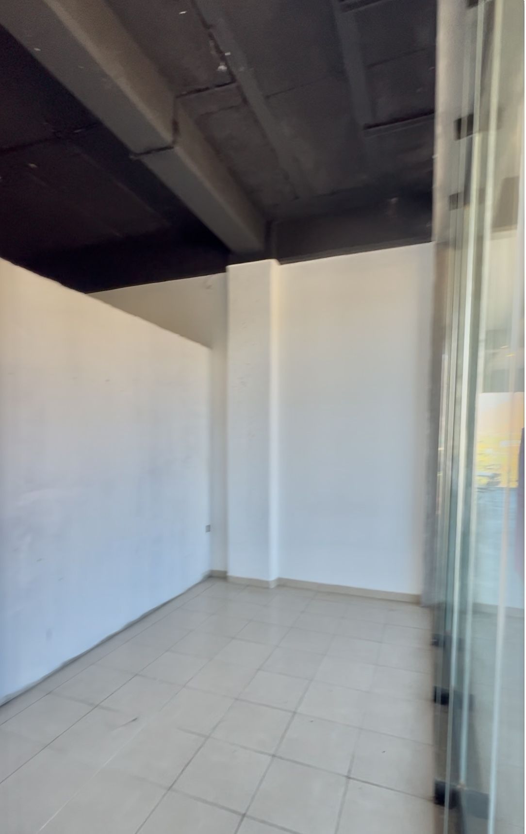Retail Space in San Antonio Tlayacapan, Chapala, photo 4 of 10