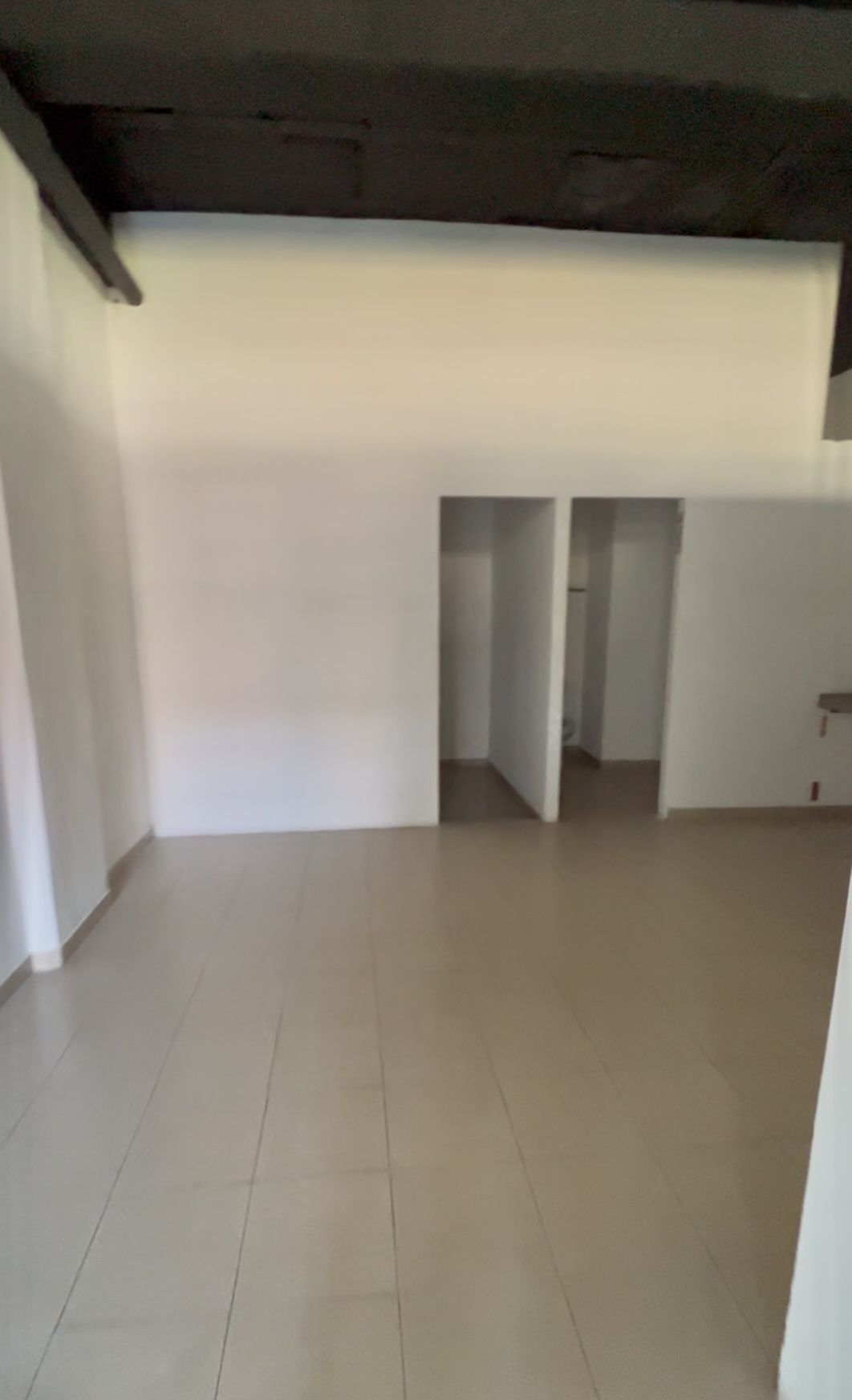 Retail Space in San Antonio Tlayacapan, Chapala, photo 5 of 10