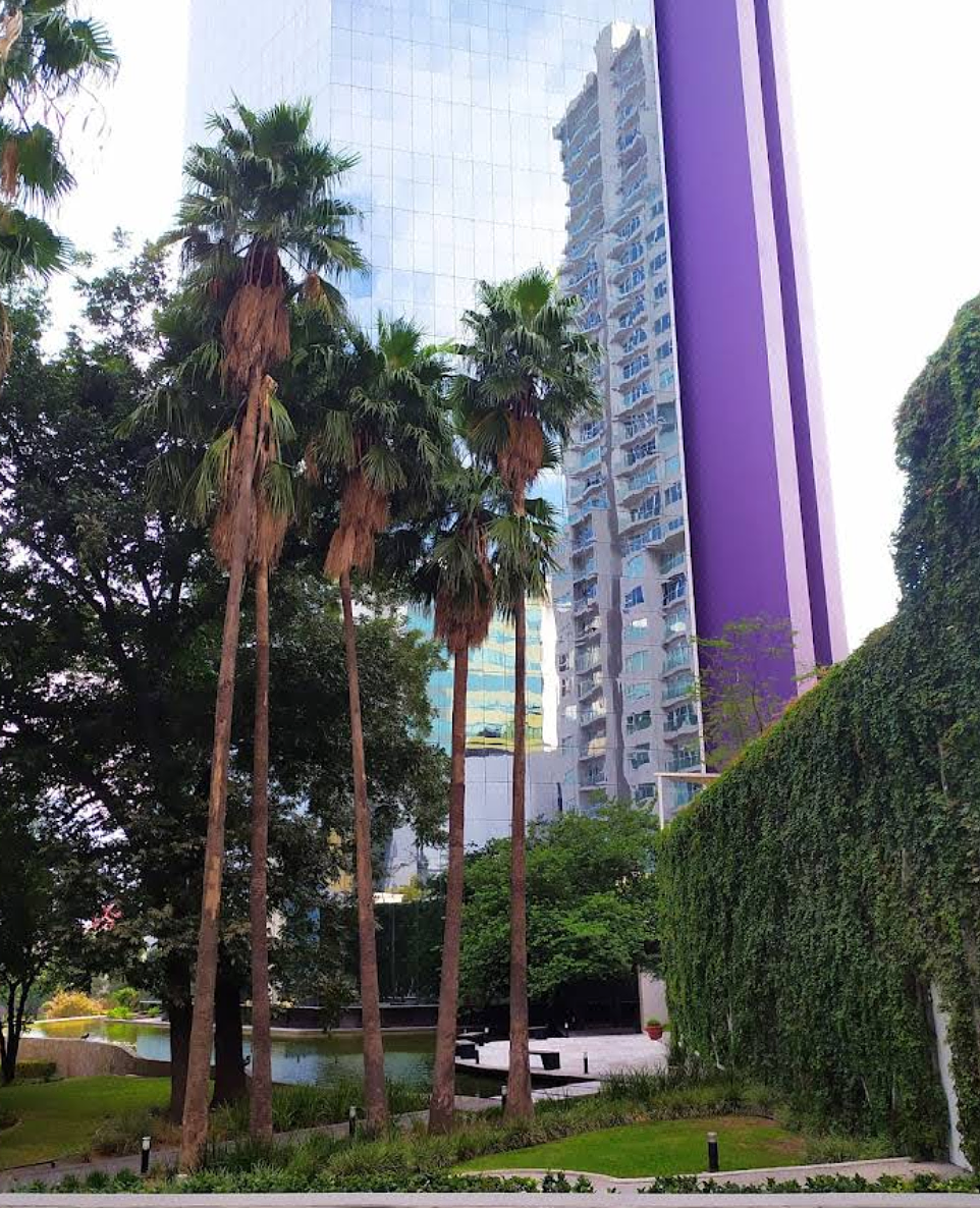 Apartamento em Santa María, Monterrey, foto 18 de 34