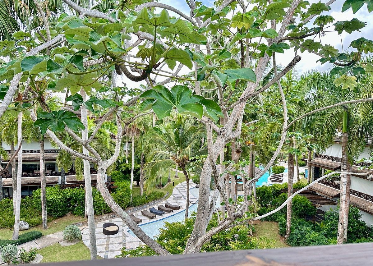 Penthouse en Las Terrenas, foto 24 de 24