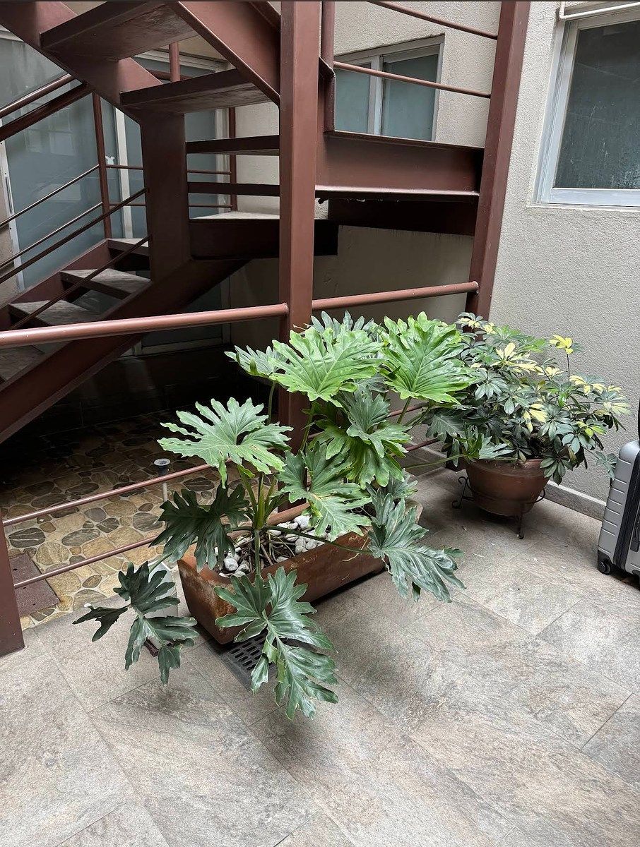 Casa em Escandón I Sección, Miguel Hidalgo, foto 3 de 7