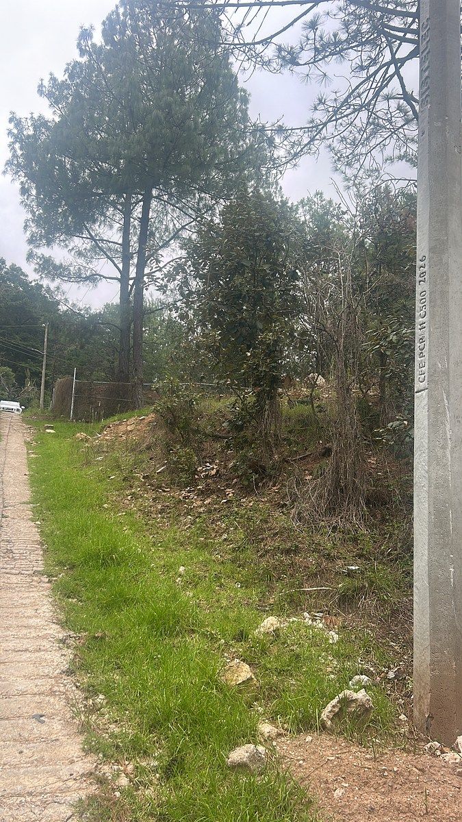 Terreno en Venta, ubicado en Los Alcanfores en el Rincón de La Montaña, foto 1 de 10