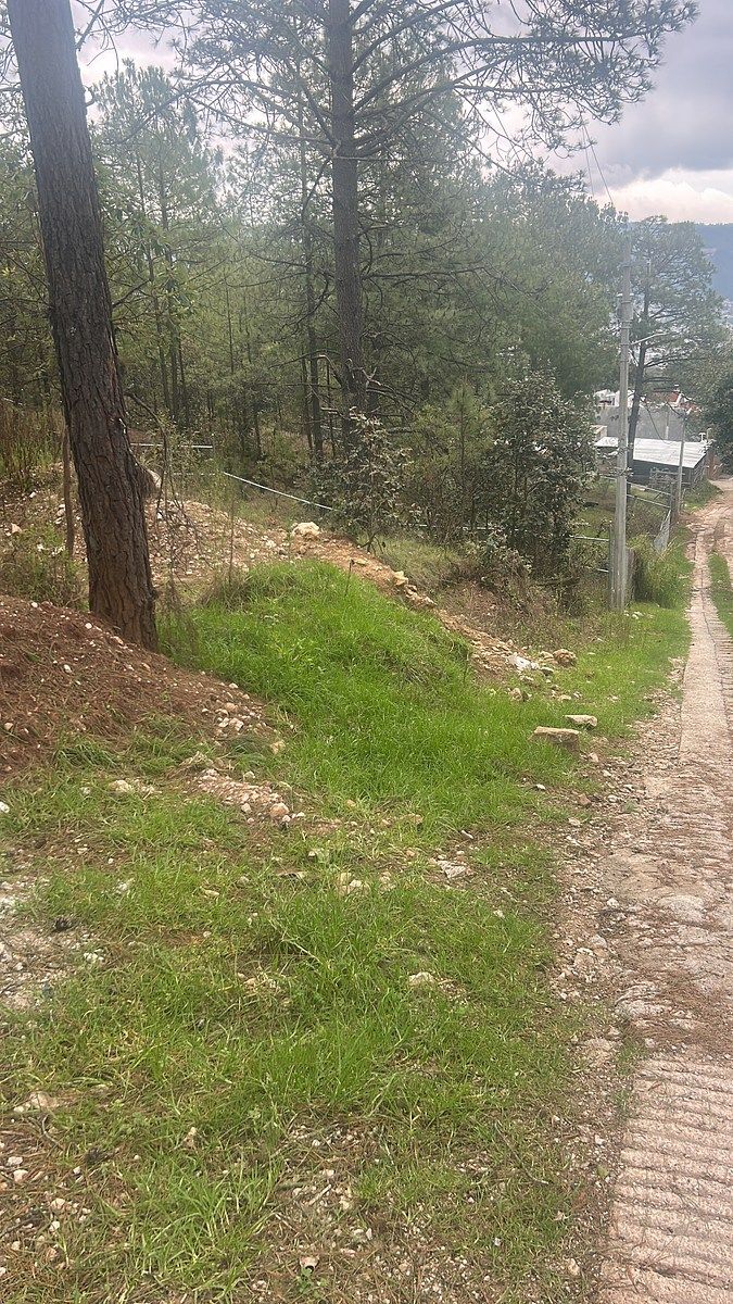 Lote em Los Alcanfores, San Cristóbal de Las Casas, foto 2 de 10