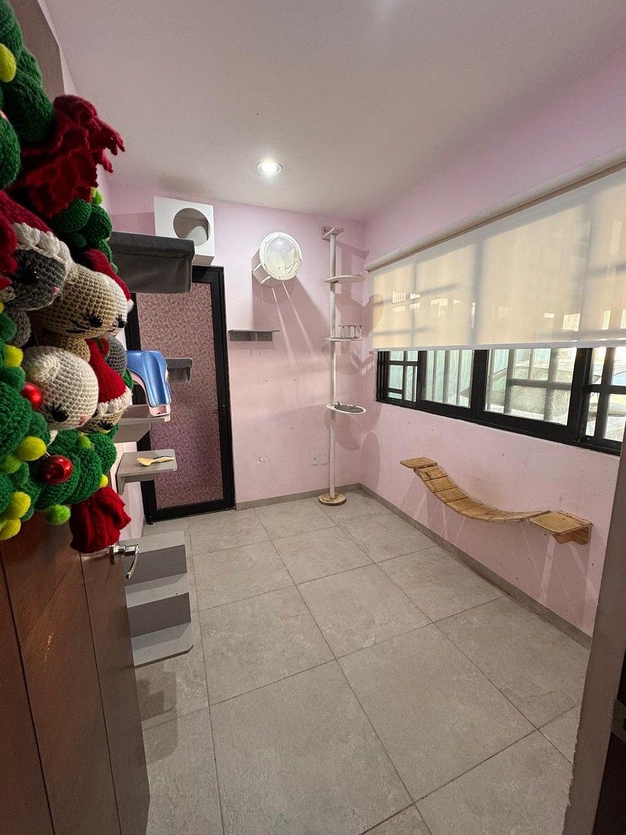 House in Lomas de Juriquilla, Querétaro, photo 3 of 12